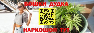 ешки Боровичи