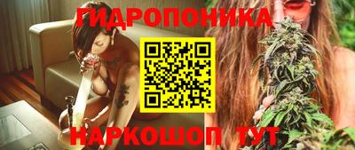 mdpv Владивосток
