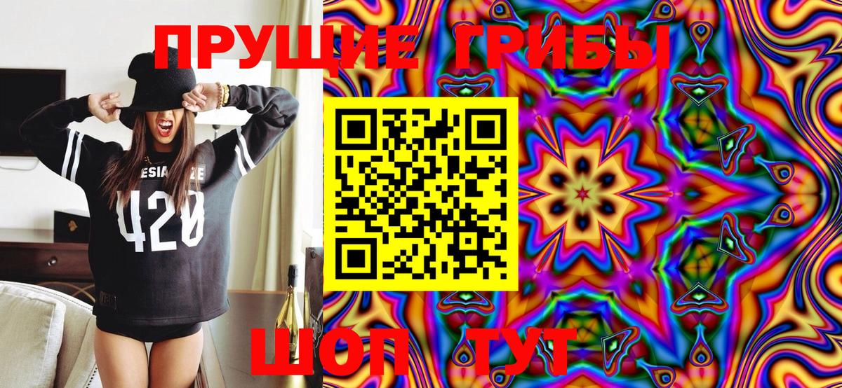 Псилоцибиновые грибы прущие грибы Ахтубинск